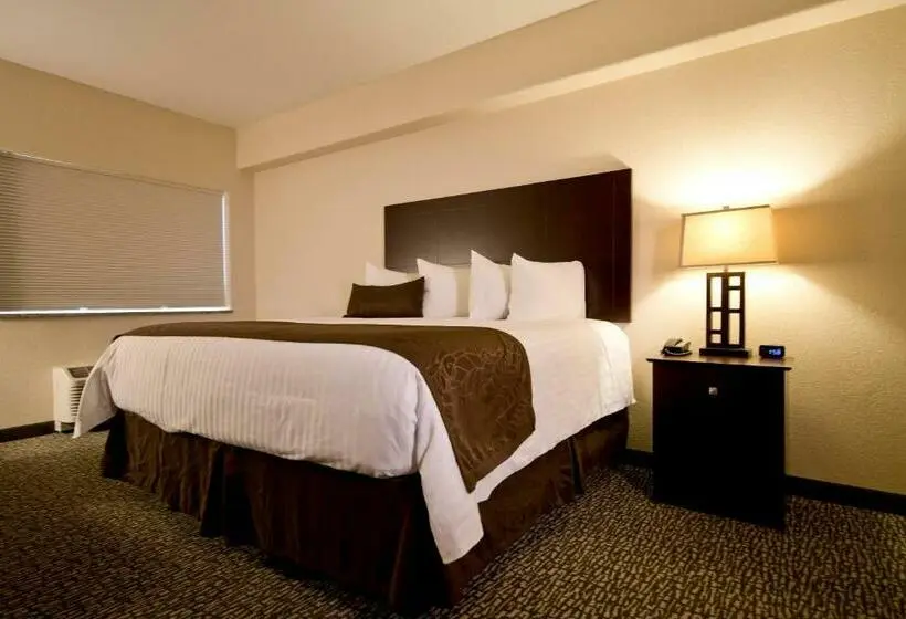 キングサイズベッドのスタンダードルーム, Cobblestone Inn & Suites – Manchester