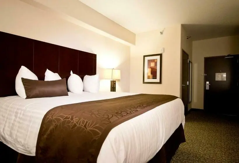 キングサイズベッドのスタンダードルーム, Cobblestone Inn & Suites – Manchester