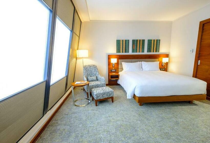 اتاق لوکس با تخت بزرگ, Hilton Garden Inn Mbabane