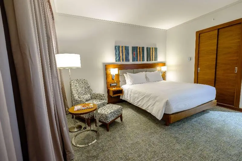 سوئیت با تخت بزرگ, Hilton Garden Inn Mbabane