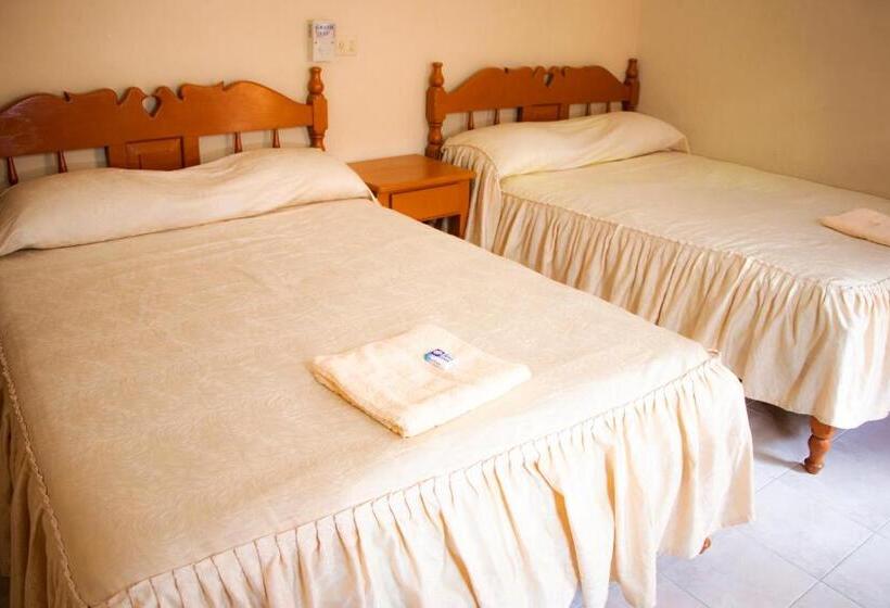 带2个双人床的标准工作室, Isla Esmeralda