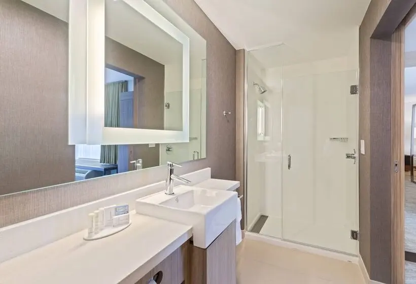 スイート, Springhill Suites By Marriott Ocala