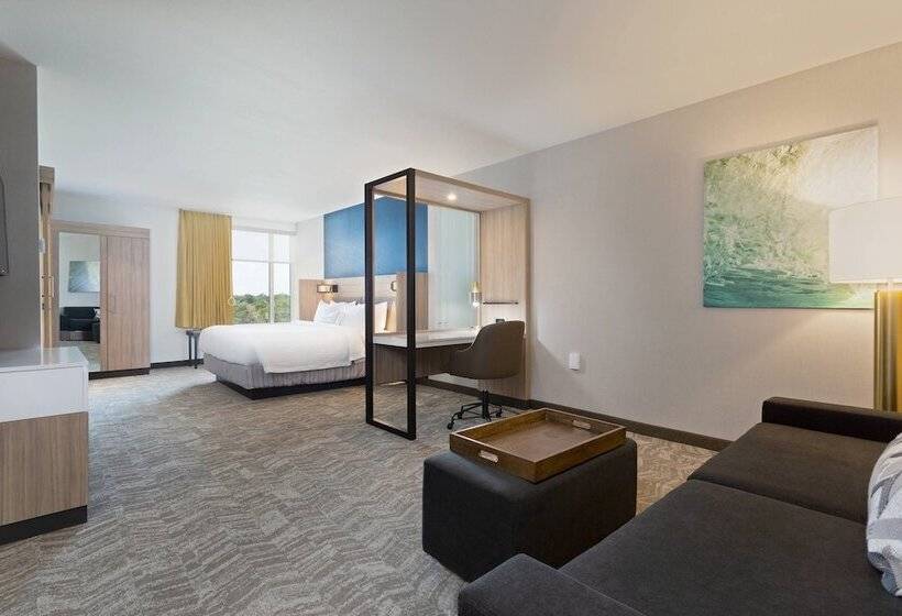 스위트, Springhill Suites By Marriott Ocala