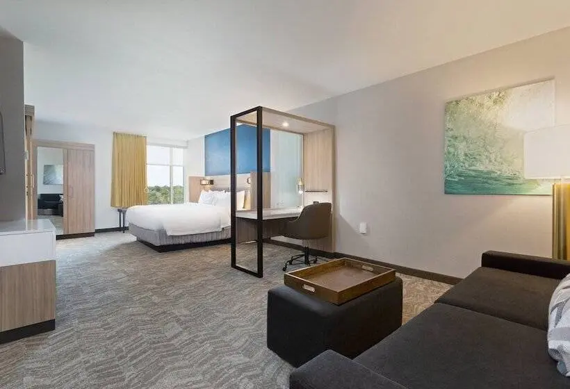 スイート, Springhill Suites By Marriott Ocala