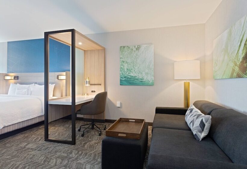 جناح, Springhill Suites By Marriott Ocala