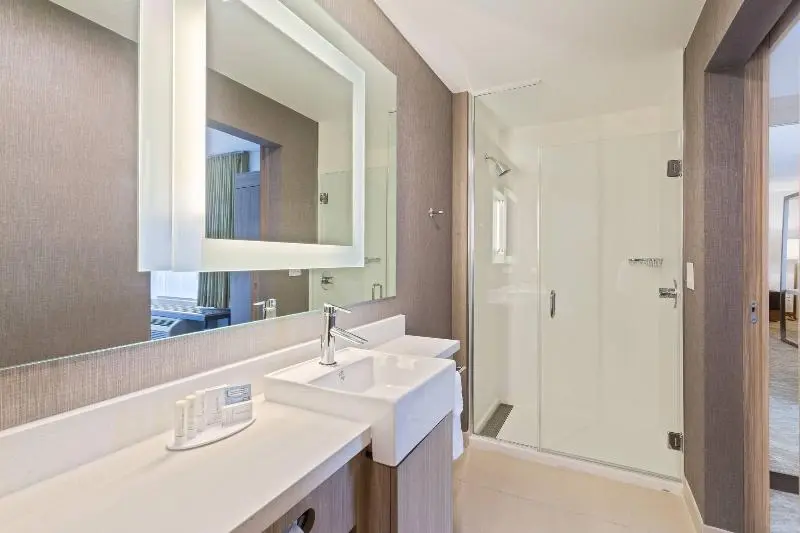 キングサイズベッドのスイートルーム, Springhill Suites By Marriott Ocala