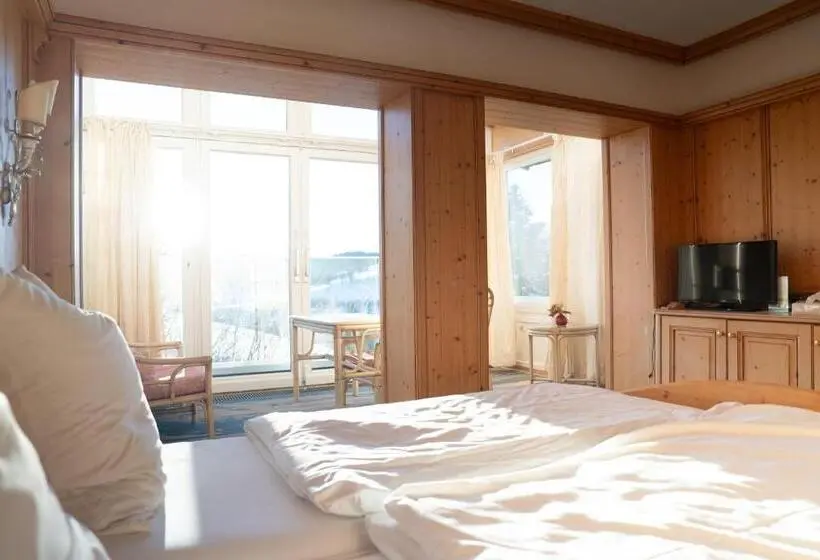 スタンダードルーム, Bergvital Hotel Todtnau