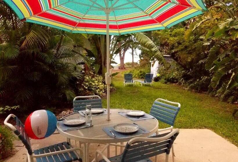 شقة غرفة واحدة مزودة بتراس, Bamboo Apartments