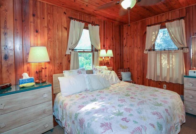 شقة غرفة نوم واحدة مزودة بشُرفة, Bamboo Apartments