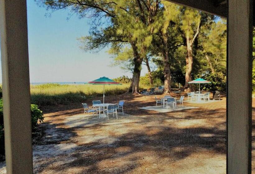 شقة غرفة نوم واحدة مزودة بشُرفة, Bamboo Apartments