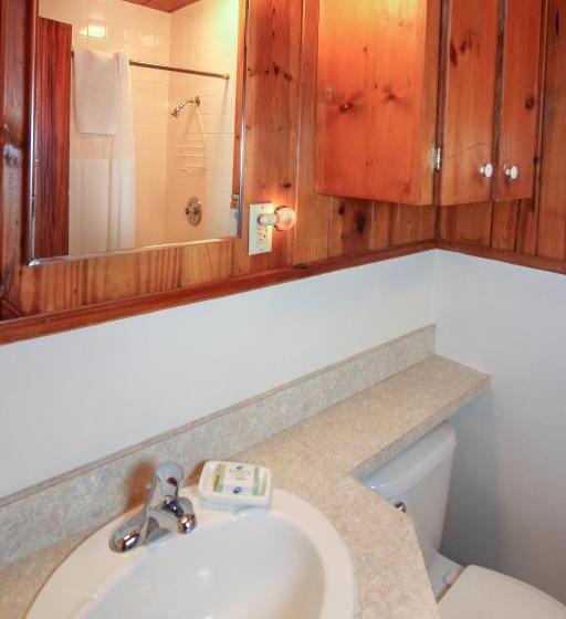 شقة غرفة نوم واحدة مزودة بشُرفة, Bamboo Apartments