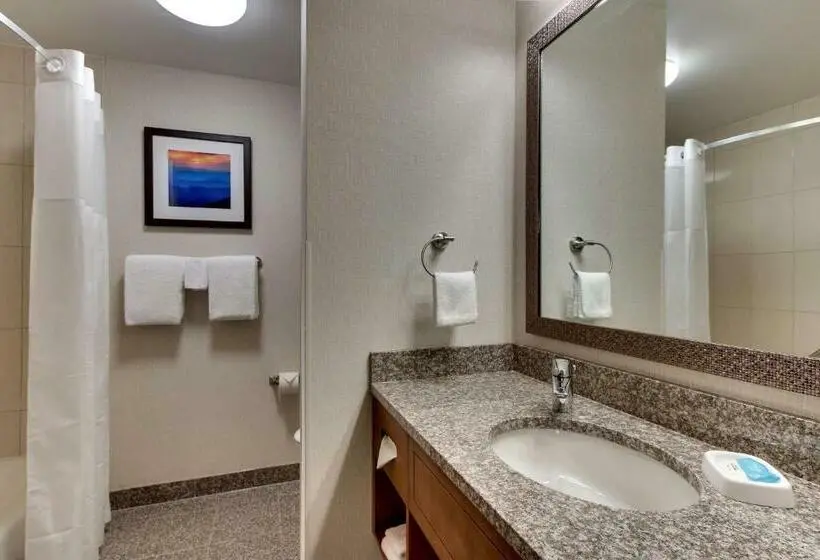 キングサイズベッドのデラックススイート, Drury Inn & Suites Knoxville West