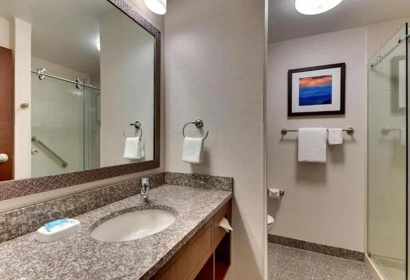 キングサイズベッドのデラックススイート, Drury Inn & Suites Knoxville West