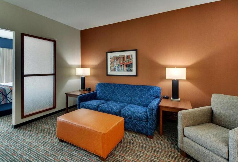 キングサイズベッドのデラックスルーム, Drury Inn & Suites Knoxville West
