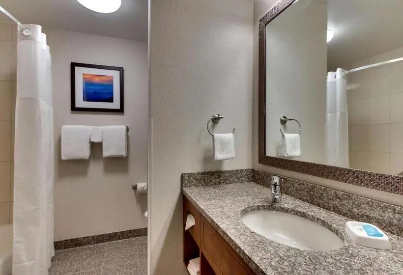 キングサイズベッドのスーペリアルーム, Drury Inn & Suites Knoxville West