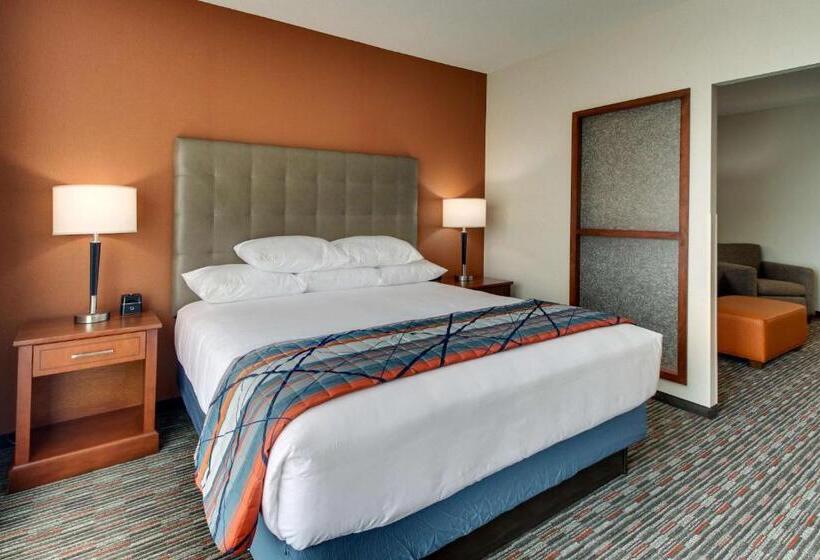 キングサイズベッドのスーペリアルーム, Drury Inn & Suites Knoxville West