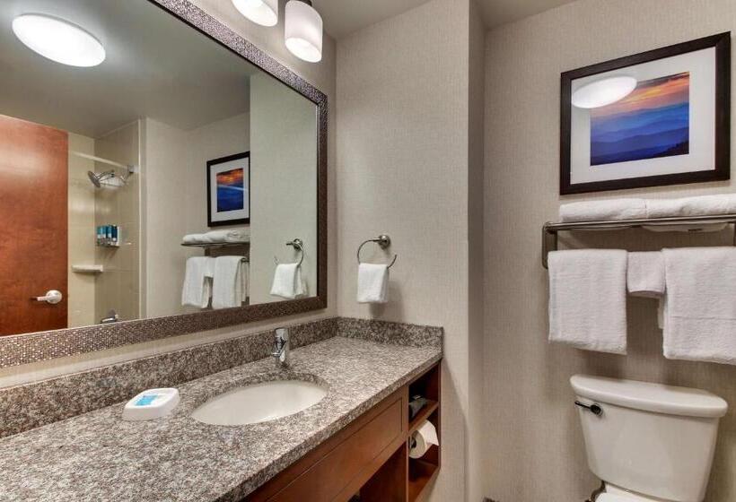 Люкс Повышенной Комфортности, Drury Inn & Suites Knoxville West