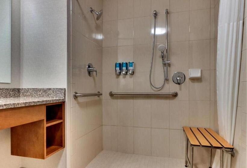 身障者適用キングサイズベッドルーム, Drury Inn & Suites Knoxville West