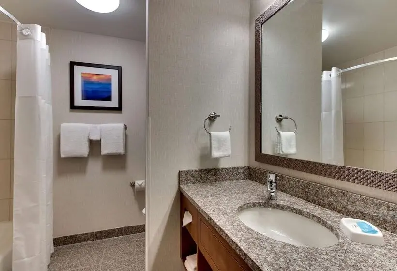 身障者適用スイートルーム, Drury Inn & Suites Knoxville West