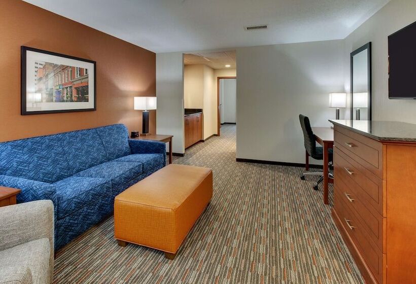 Люкс Адаптированный для Инвалидов, Drury Inn & Suites Knoxville West