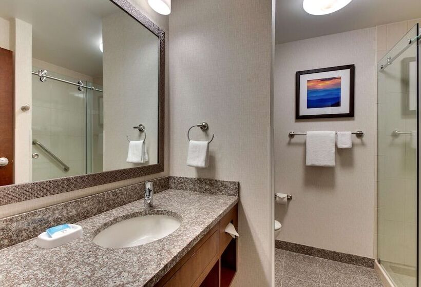 חדר דלוקס מותאם לאנשים עם מוגבלויות, Drury Inn & Suites Knoxville West