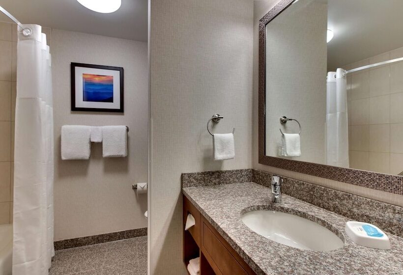 デラックスルーム, Drury Inn & Suites Knoxville West