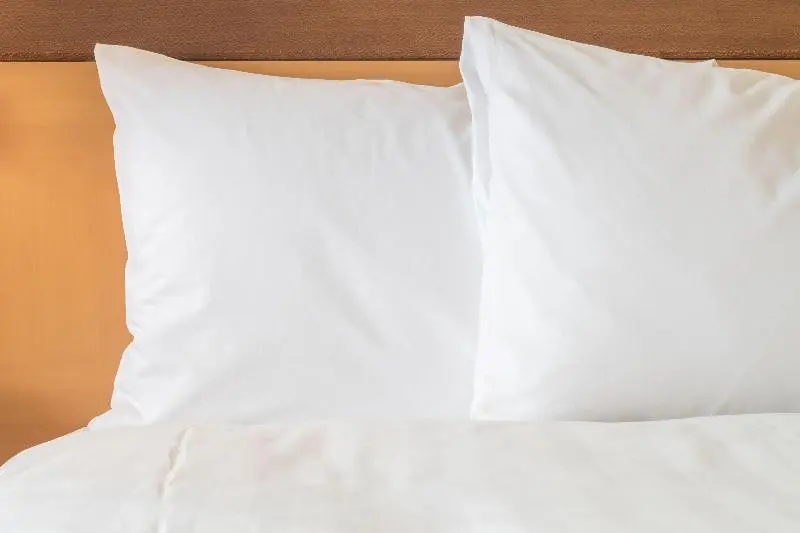 スタンダードルーム, Staybridge Suites Pecos, An Ihg