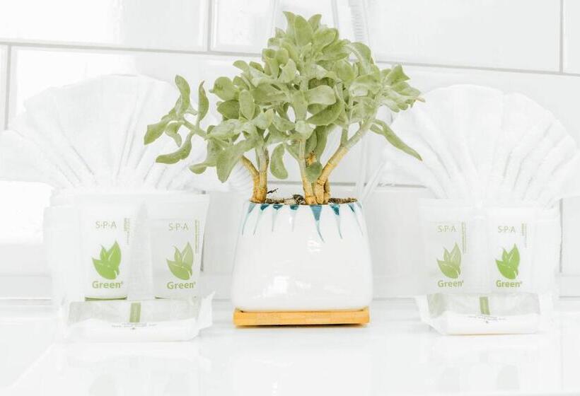 غرفة ديلوكس, The Belmont Shore Inn