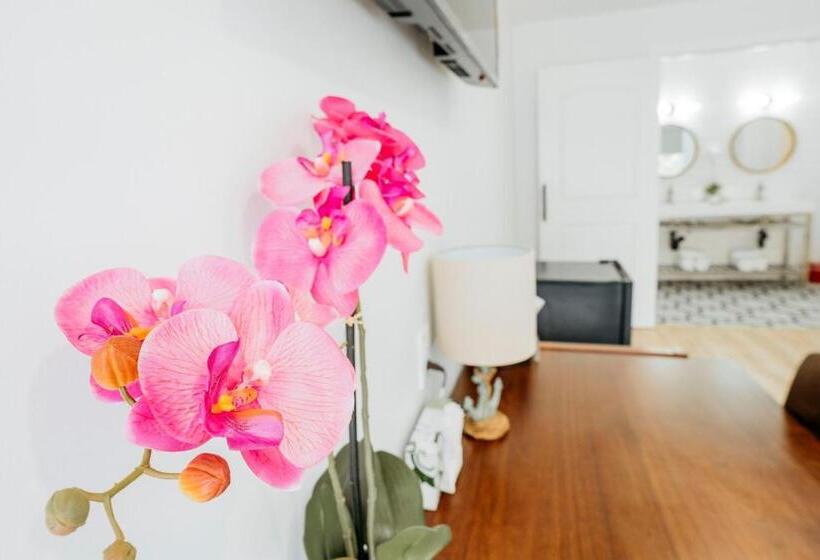 غرفة ديلوكس, The Belmont Shore Inn