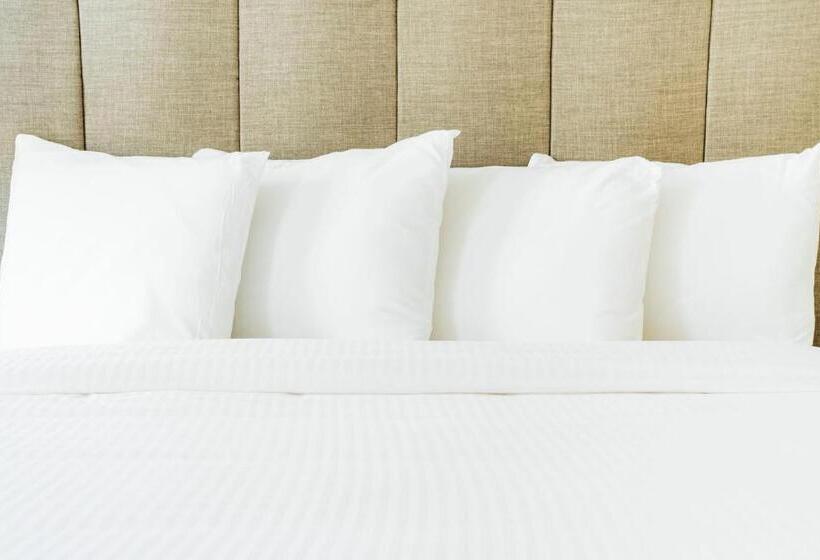 غرفة قياسية سرير كينج, The Belmont Shore Inn