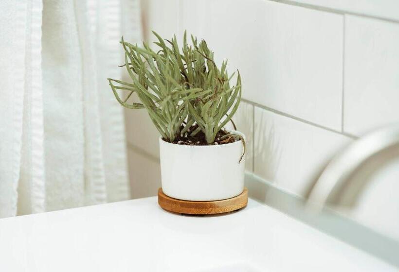 غرفة قياسية لذوى الاحتياجات الخاصة, The Belmont Shore Inn