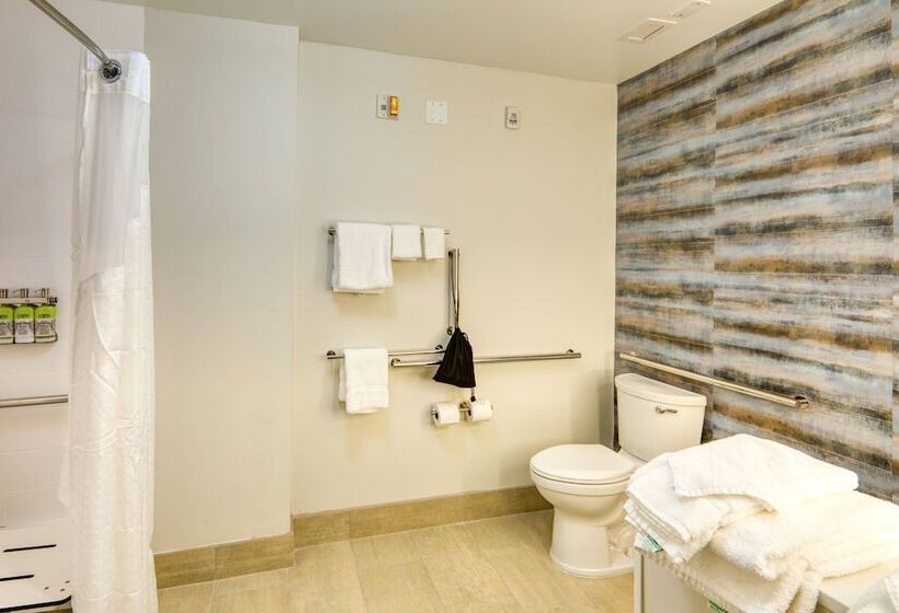 Номер Стандарт Двуспальная Кровать, Holiday Inn Express & Suites Charlotte South End, An Ihg