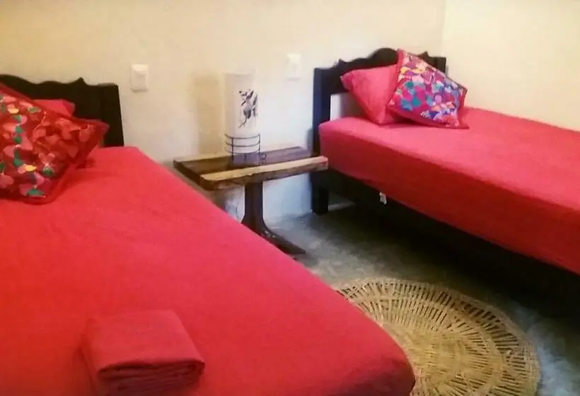 اتاق استاندارد با سرویس بهداشتی مشترک, Hostal Mulut Tulum