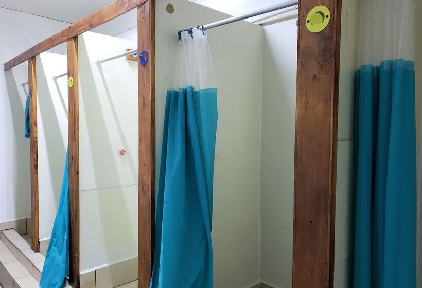 سرير فى غرفة مشتركه, North Hostel