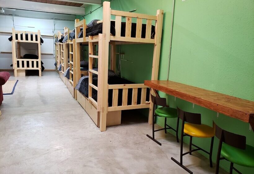 سرير فى غرفة مشتركه, North Hostel