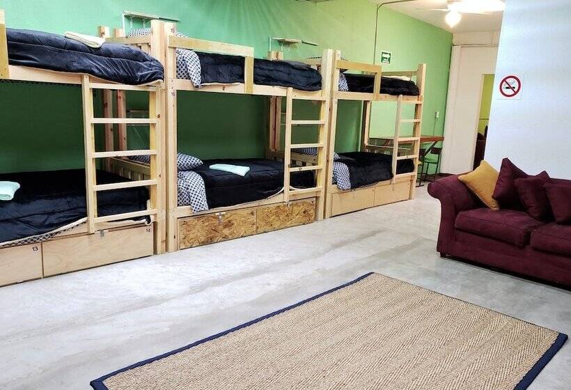 ルームシェアのワンベッド, North Hostel