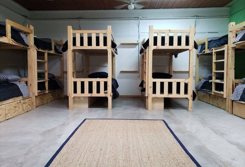 سرير فى غرفة مشتركه, North Hostel