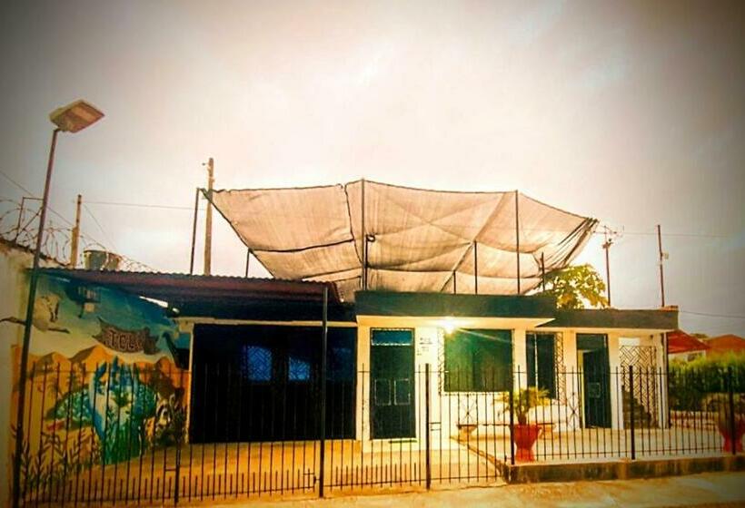 חדר סטנדרט לשלושה, Oasis De Tolú