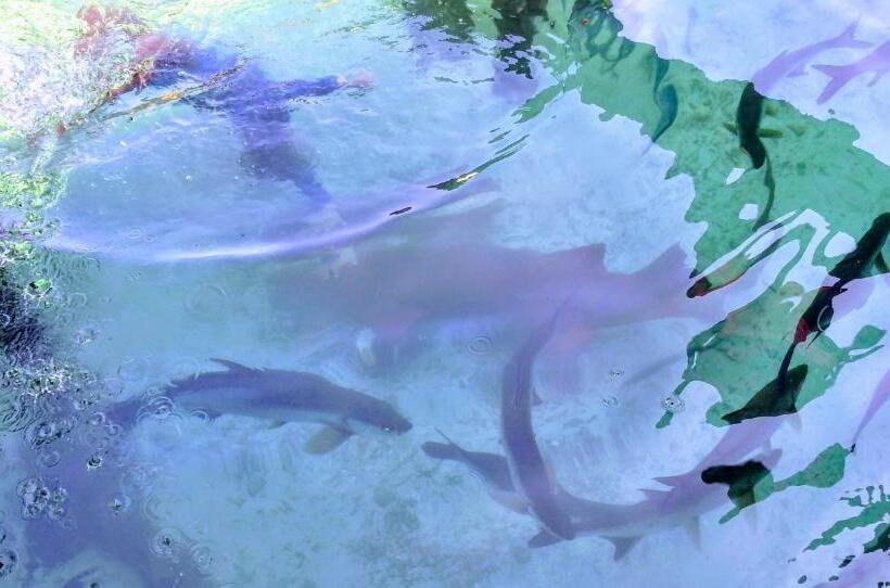 בית, חדר שינה 1, Oasis De Tolú