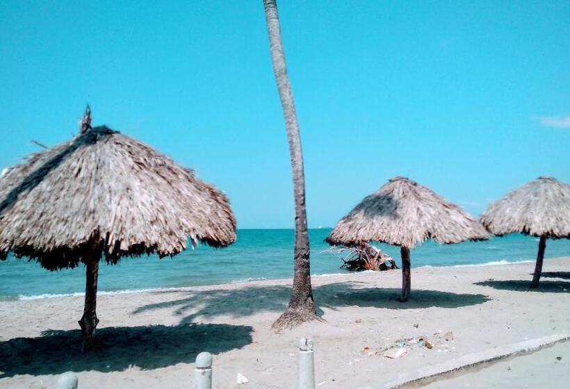 דירת חדר, Oasis De Tolú