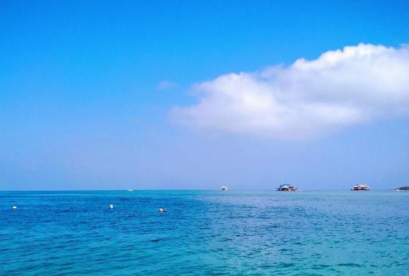 דירת חדר, Oasis De Tolú