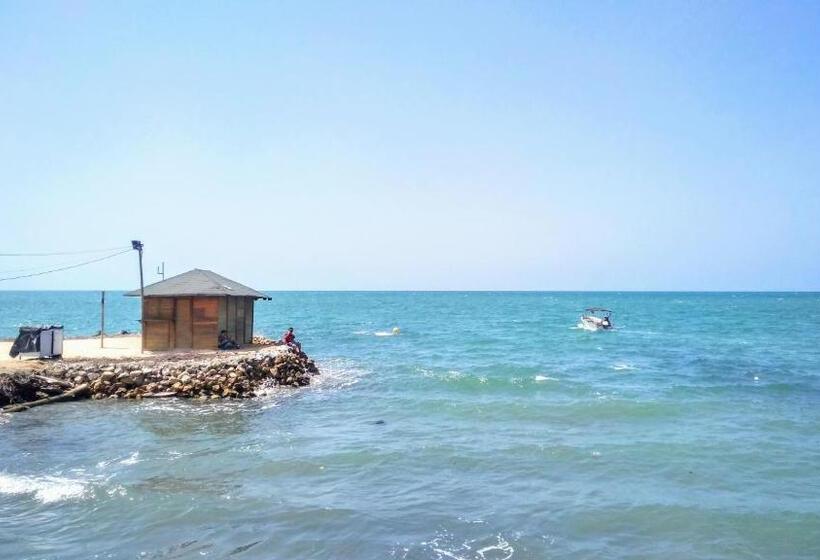 דירת חדר, Oasis De Tolú