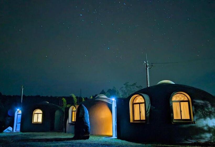 חדר סטנדרט לארבעה, Seiryukyou