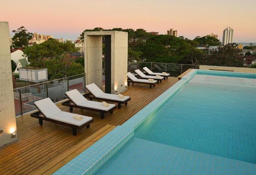 침실 1개 가든 전망 아파트, El Viejo Jardin