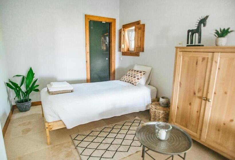 تختخواب در اتاق مشترک, Dreamsea Surf Guest House