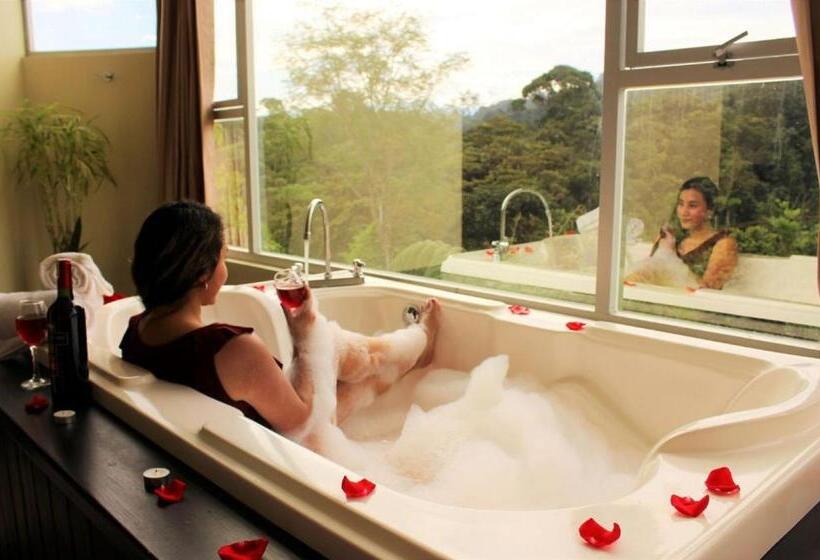 스탠다드 룸 킹사이즈 침대, Ecopark Hosteria Puyo