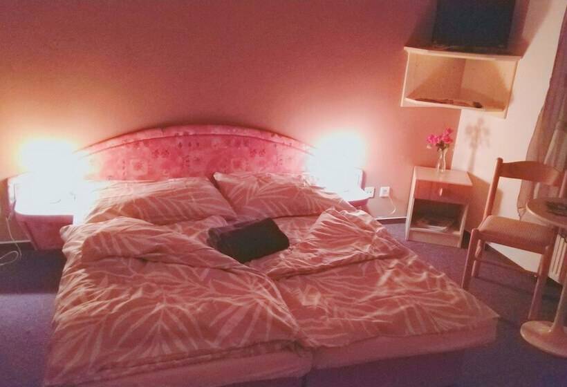 اتاق استاندارد با وان آب گرم, Penzion Lara