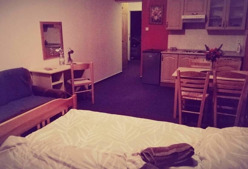 اتاق استاندارد, Penzion Lara