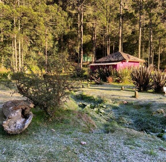 اتاق استاندارد با چشمانداز کوهستان, Pousada Jardim Do Buda   Café E Piscina