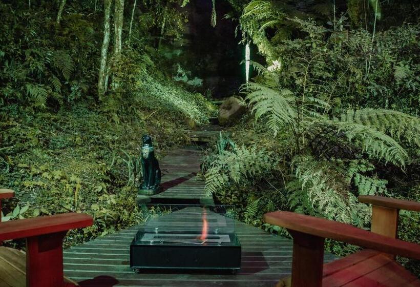 کلبه ییلاقی سوپریور یک خوابه, Pousada Jardim Do Buda   Café E Piscina